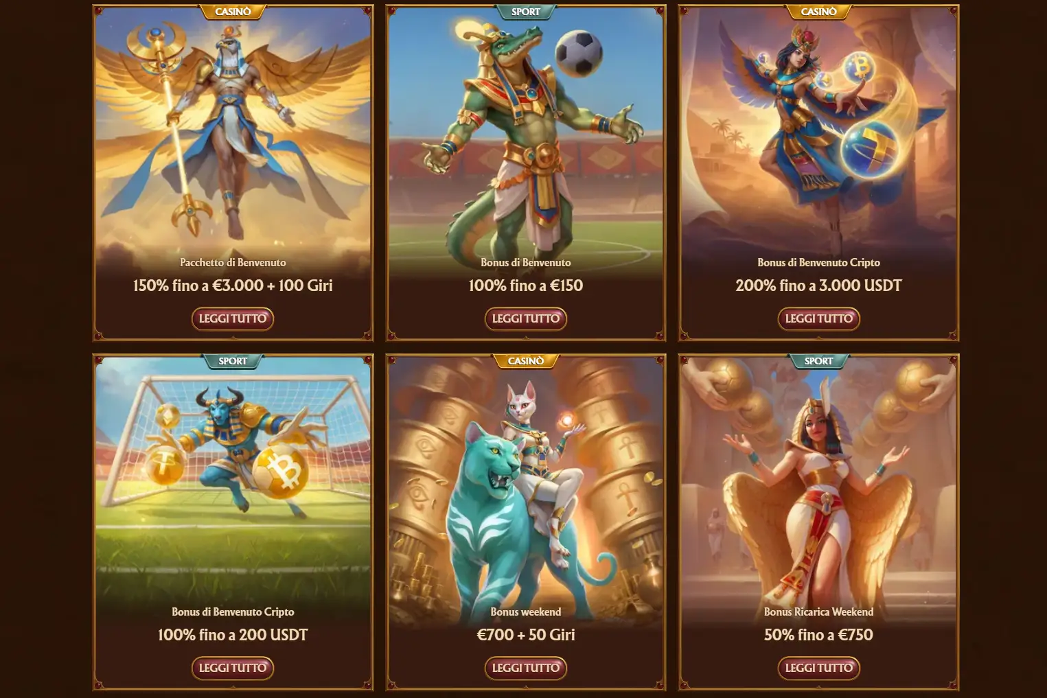 VIP Program Structure